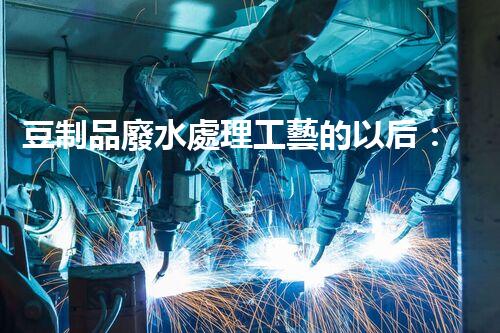 豆制品廢水處理工藝的以后：挑戰(zhàn)與突破？